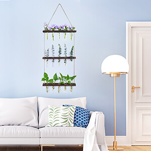 Terrarium Plants Wall Hanging Planter For Hydroponic Plants | Eveagetool