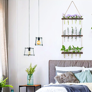 Terrarium Plants Wall Hanging Planter For Hydroponic Plants | Eveagetool