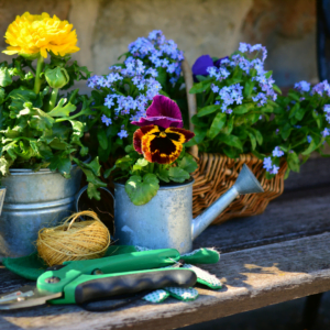Read more about the article 7 Gardening Mistakes To Avoid