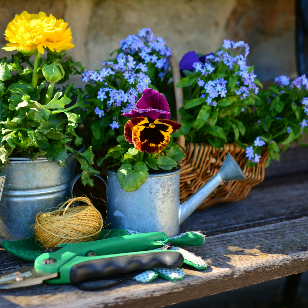 You are currently viewing 7 Gardening Mistakes To Avoid