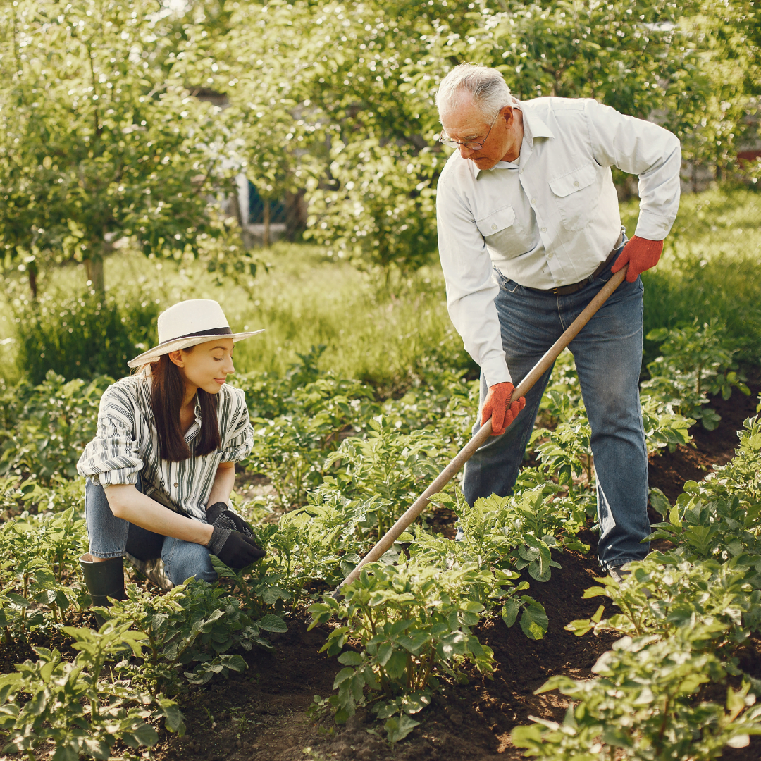 You are currently viewing DIY Garden Tips