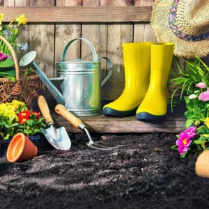 Read more about the article Garden Tools Maintenance Tips