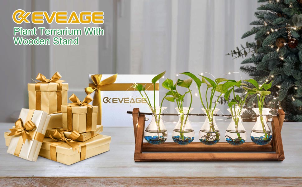 EVEAGE Propogation Planters Glass1