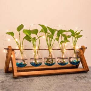 EVEAGE Propogation Planters Glass, Plant Propagation Station, Propagation Vase, Tabletop Plant Terrarium with Wooden Stand – New Upgraded 5 Bulb Vase