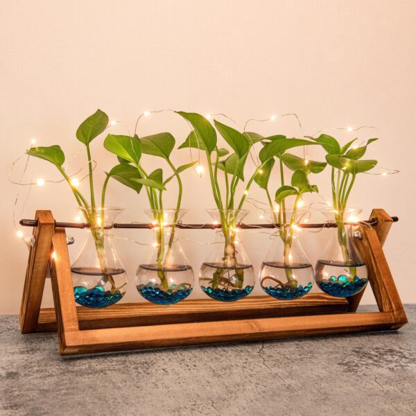 EVEAGE Propogation Planters Glass1