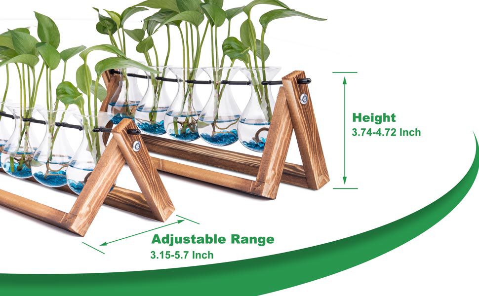 EVEAGE Propogation Planters Glass4