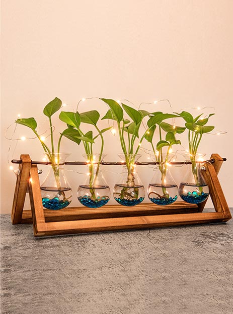 EVEAGE Propogation Planters Glass7