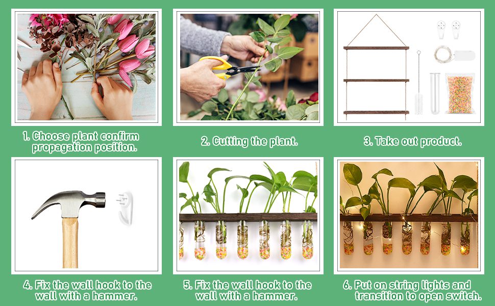 Hanging Planter Terrarium 2