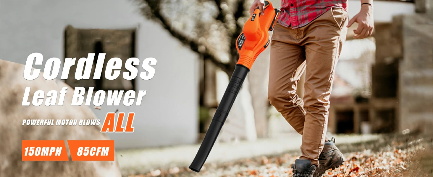 Leaf Blower Cordless